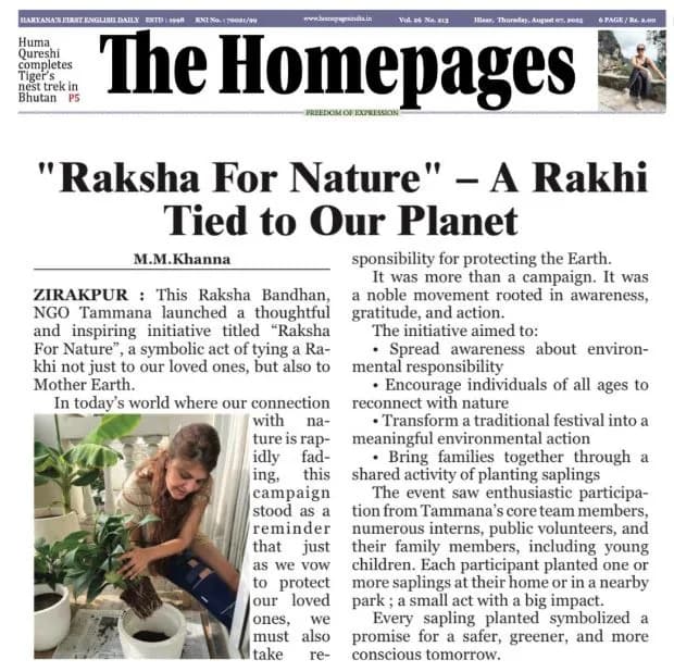 The Homepages